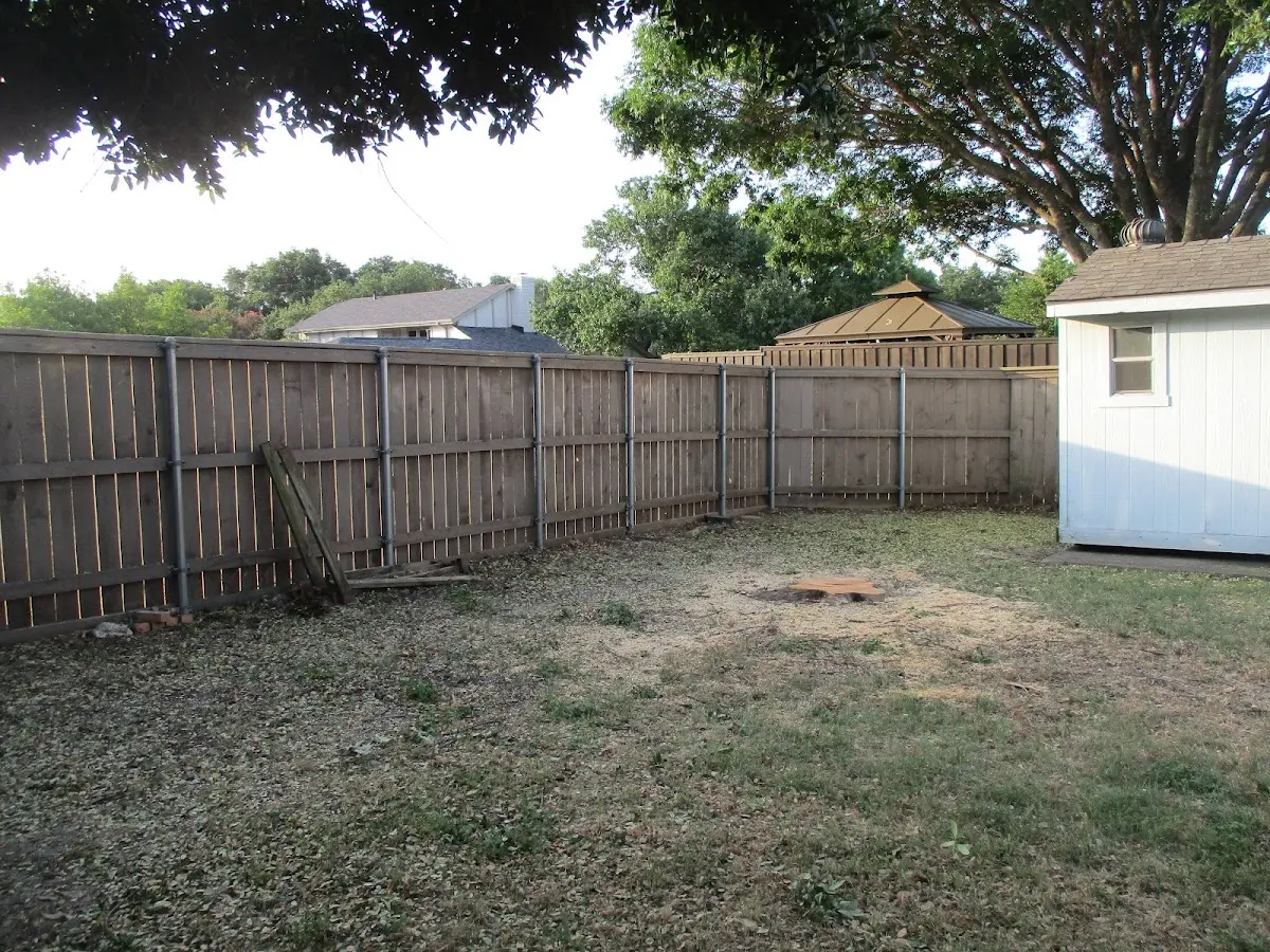 Cleared yard after professional tree removal in Franklin Springs